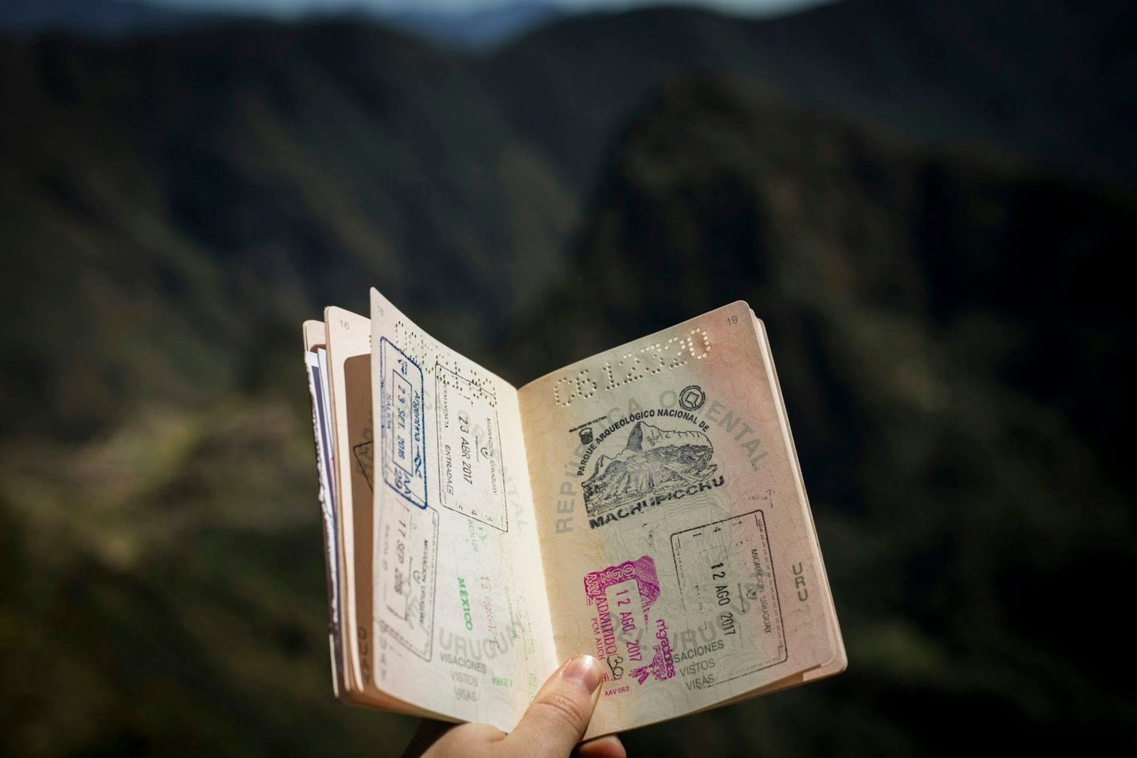 Standard Visitor Visa support